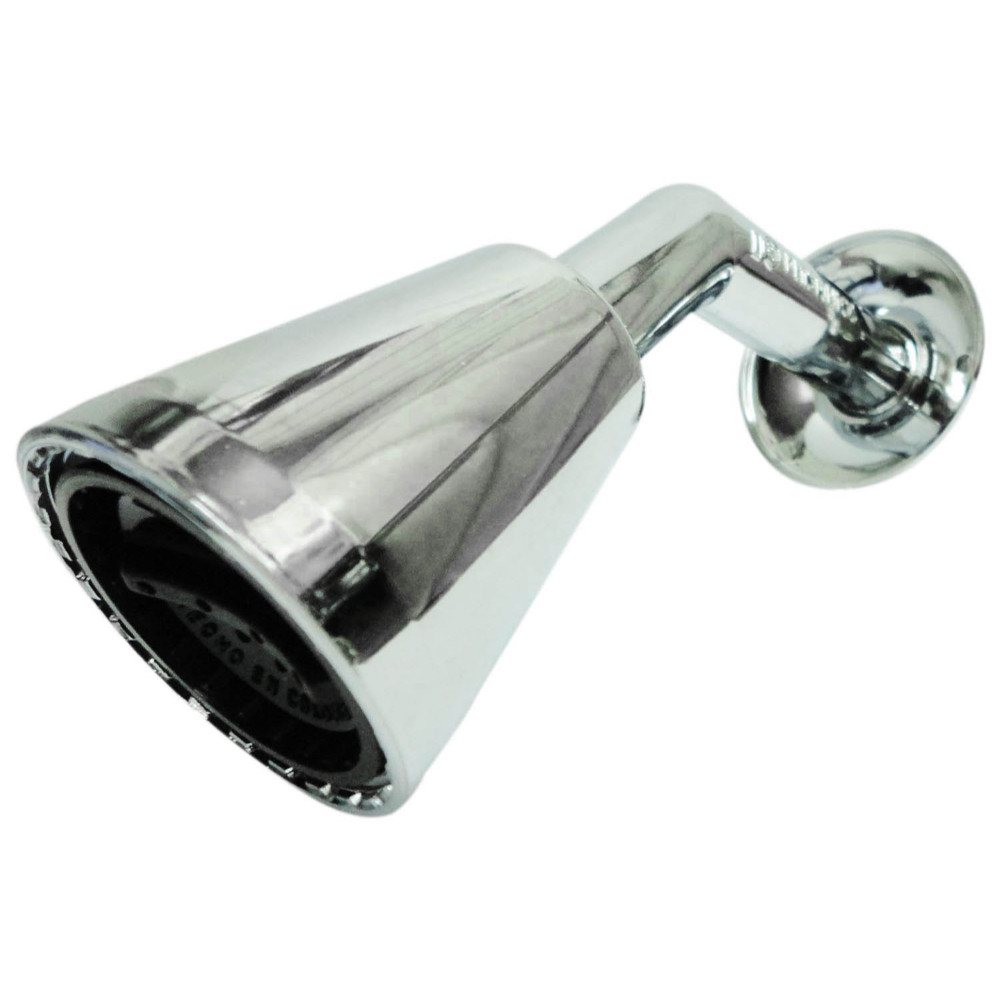 Ducha regadera cromada plastgrifos nacional (3270962)