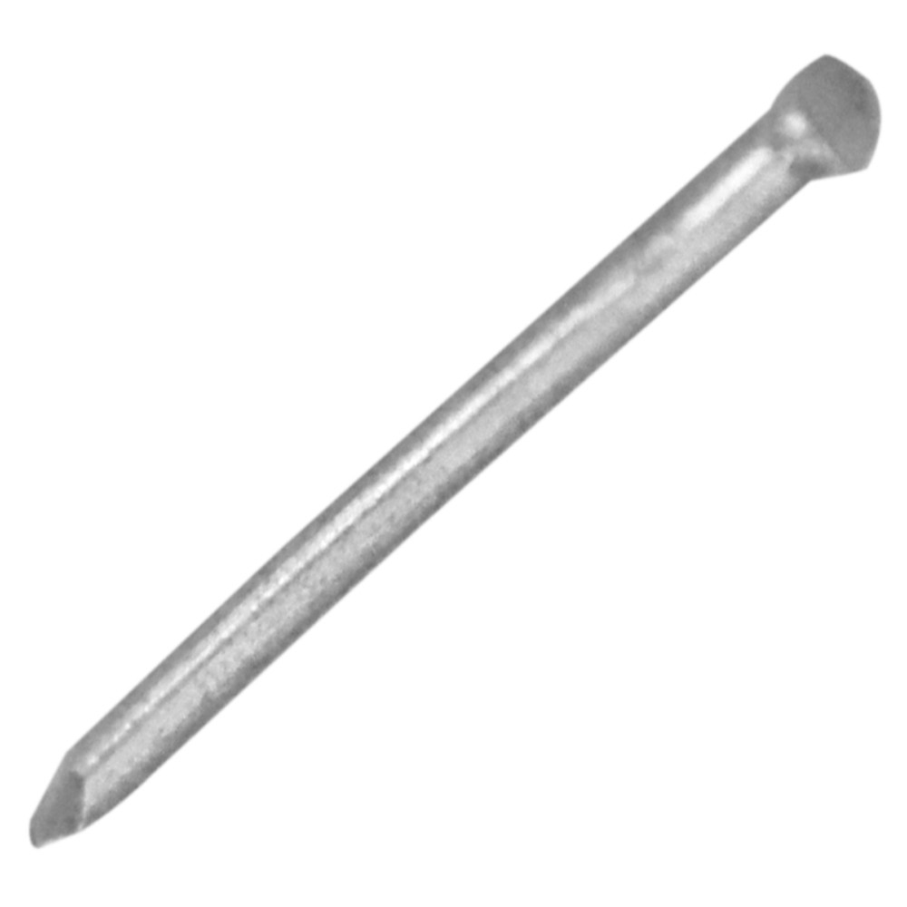Puntilla comun sin cabeza 2 (400 gr)